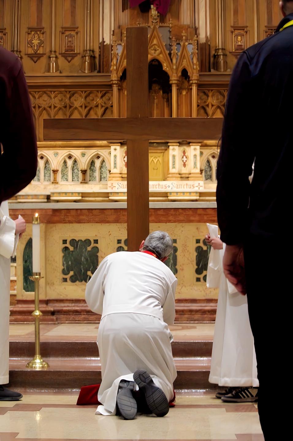 Parishioners engaged in parish life and activities
